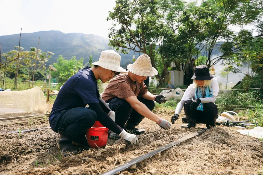 University students working on compost at a farm